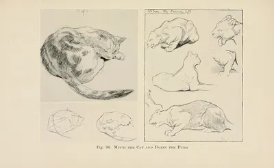 Drawing for beginners Pl.16 by Dorothy Furniss — digital art print download