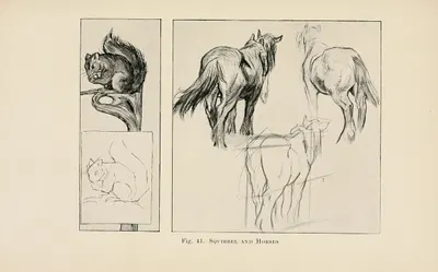 Drawing for beginners Pl.19 by Dorothy Furniss — digital art print download