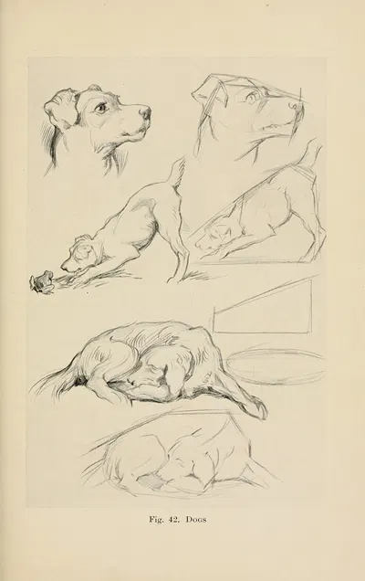 Drawing for beginners Pl.20 by Dorothy Furniss — digital art print download