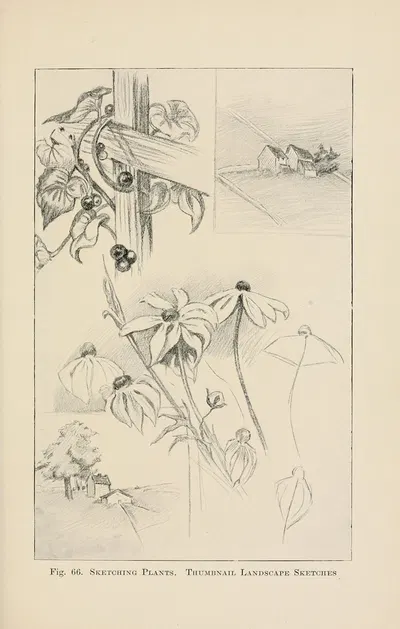 Drawing for beginners Pl.29 by Dorothy Furniss — digital art print download