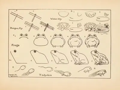 What to draw and how to draw it Pl.15 by Edwin George Lutz, 1913 — digital art print download