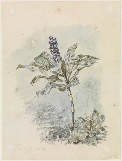 Strauch mit blauer Blütendolde by Ferdinand Keller, 1860 — digital art print download