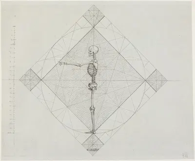 Proportionsstudie; Profilansicht eines Skeletts mit waagerecht erhobenen Armen by Philipp Jakob Becker — digital art print…