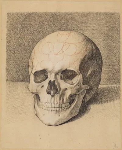 Schädelstudie; Frontalansicht eines Schädels by Philipp Jakob Becker — digital art print download