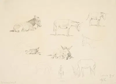 Studieblad med dyr by Agnes Lunn, 1896 — digital art print download