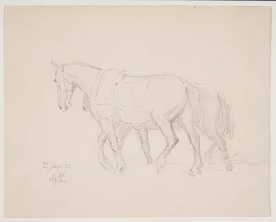 To heste by Agnes Lunn, 1881 — digital art print download
