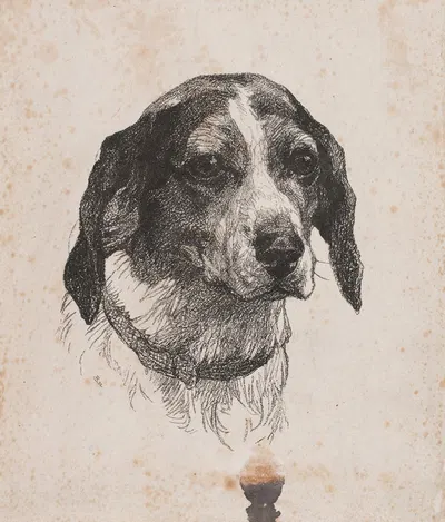Et hundehoved by Alexander Blom, 1885 — digital art print download