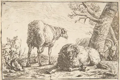 Får, vædder og ged by Barend Graat — digital art print download