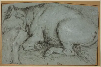 Lying cow and study for the hind legs of a standing cow by Carlo Caliari — digital art print download