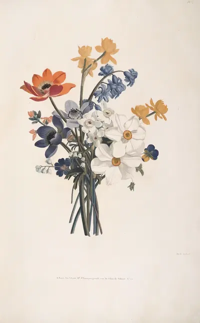 Bouquet de Jacinte, Narcises divers, Anémones, Pensées, Primevère, Muguet et Giroflée jaune by Jean Louis Prévost, 1805 —…