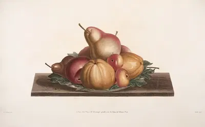 Assiette de Bon - Chrétien, Calville blanc, Pomme-rose, Api et Coing by Jean Louis Prévost, 1805 — digital art print download