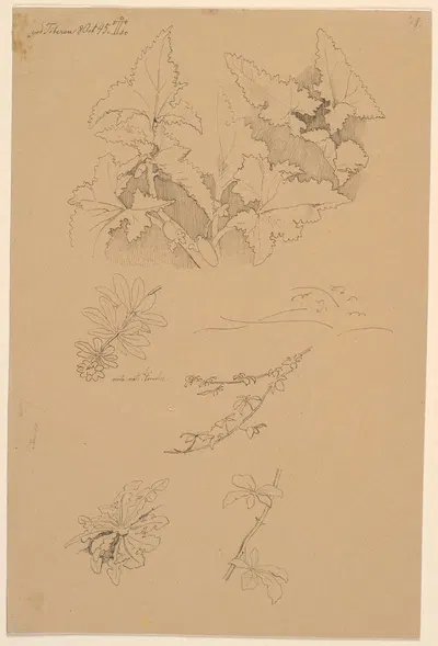 Blad- og blomsterstudier by Johan Thomas Lundbye, 1845 — digital art print download