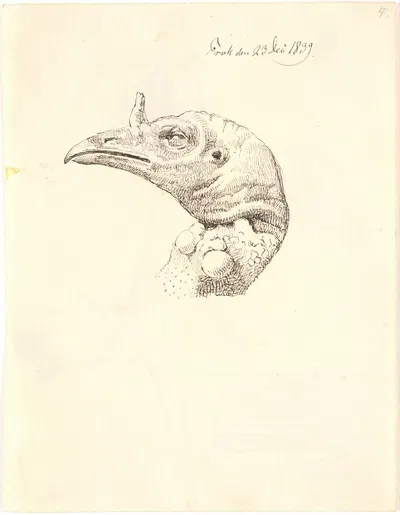 Hovede af en død kalkunhøne by Йохан Томас Лундбю, 1839 — digital art print download