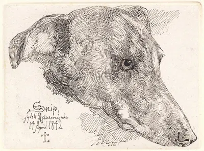 Hundehoved, Snip by Йохан Томас Лундбю, 1842 — digital art print download