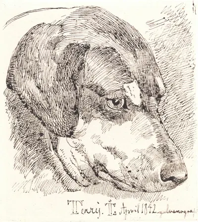 Hundehoved, Terry by Йохан Томас Лундбю, 1842 — digital art print download
