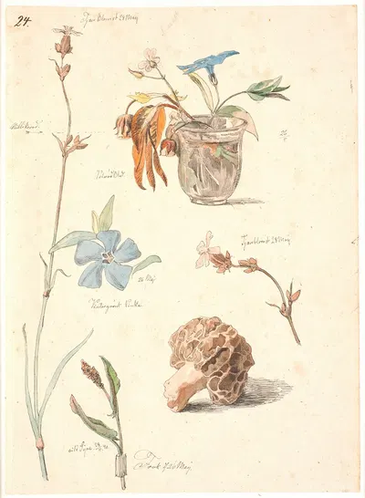 Studieblad med blomster og planter by Йохан Томас Лундбю, 1840 — digital art print download