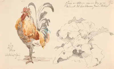 Studieblad med en hane og en skræppe by Йохан Томас Лундбю, 1847 — digital art print download