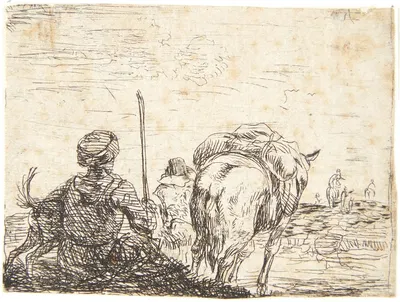 En pakhest by Карел Дуйардин — digital art print download