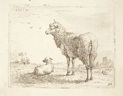 Får med et lam by Karel Dujardin — digital art print download