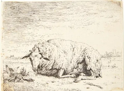 Liggende får by Карел Дуйардин, 1655 — digital art print download