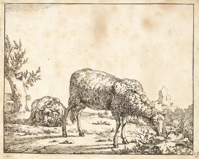 Græssende og liggende får by Marcus de Bye, 1664 — digital art print download