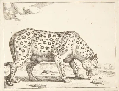 Hunleopard by Marcus de Bye — digital art print download