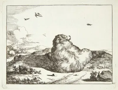Liggende bjørn, set bagfra by Marcus de Bye, 1664 — digital art print download