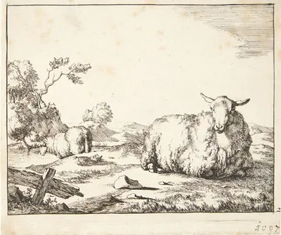 Liggende får by Marcus de Bye, 1664 — digital art print download