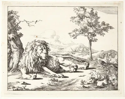 Liggende løve, set forfra by Marcus de Bye, 1664 — digital art print download