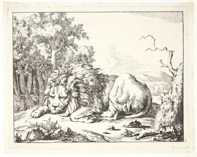 Liggende løve, vendt mod venstre by Marcus de Bye, 1664 — digital art print download
