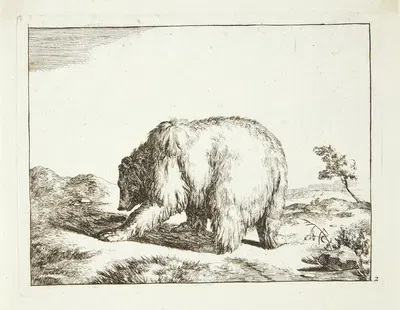 Stående bjørn, vendt mod venstre by Marcus de Bye, 1664 — digital art print download