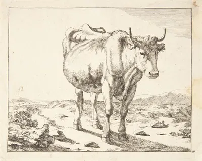 Stående ko, set forfra by Marcus de Bye — digital art print download
