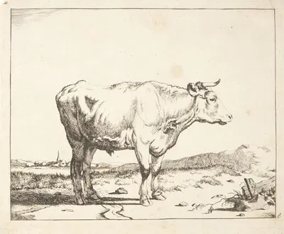 Stående stud mod højre by Marcus de Bye — digital art print download