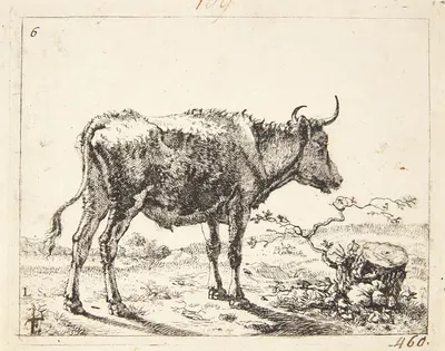 Stående stud, vendt mod højre by Marcus de Bye — digital art print download
