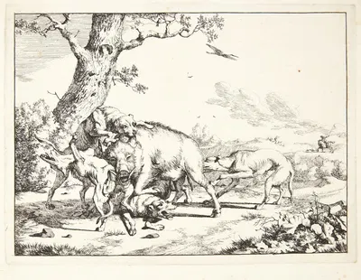 Vildsvin, der angribes af fire hunde by Marcus de Bye — digital art print download