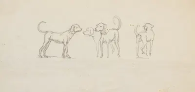 Studier af hunde by Martinus Rørbye, 1832 — digital art print download