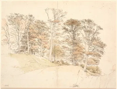 Høje træer med efterårsløv på bakket grund by П. К. Сковгорд, 1842 — digital art print download