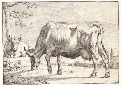Græssende ko by Паулус Поттер, 1650 — digital art print download