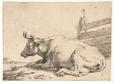 Ko liggende ved et hegn by Паулус Поттер, 1650 — digital art print download