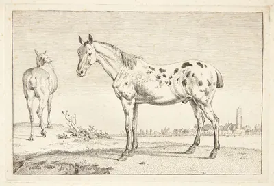 Kupperet hest by Паулус Поттер, 1652 — digital art print download
