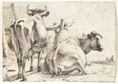 To køer, set bagfra by Паулус Поттер, 1650 — digital art print download