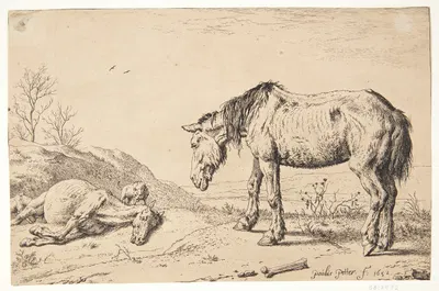 To øg, det ene døende by Паулус Поттер, 1652 — digital art print download