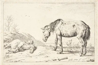 To øg by Паулус Поттер, 1652 — digital art print download