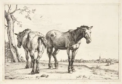 To pløjeheste by Паулус Поттер, 1652 — digital art print download