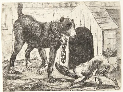Hund i lænke by Paulus van Hillegaert II — digital art print download