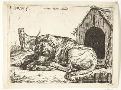 Hund i lænke by Paulus van Hillegaert II, 1654 — digital art print download