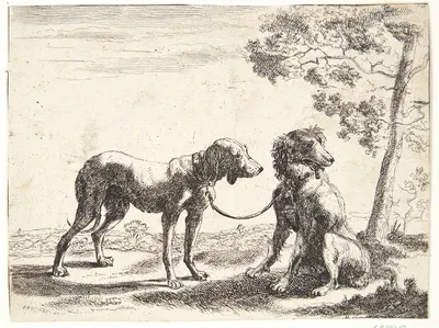 To hunde bundet sammen by Paulus van Hillegaert II, 1654 — digital art print download