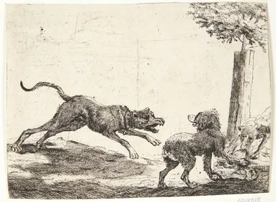 Tre hunde med et ådsel by Paulus van Hillegaert II, 1654 — digital art print download