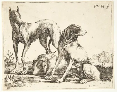 Tre hunde by Paulus van Hillegaert II — digital art print download