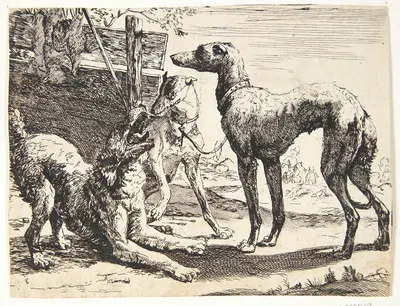 Tre hunde by Paulus van Hillegaert II, 1654 — digital art print download